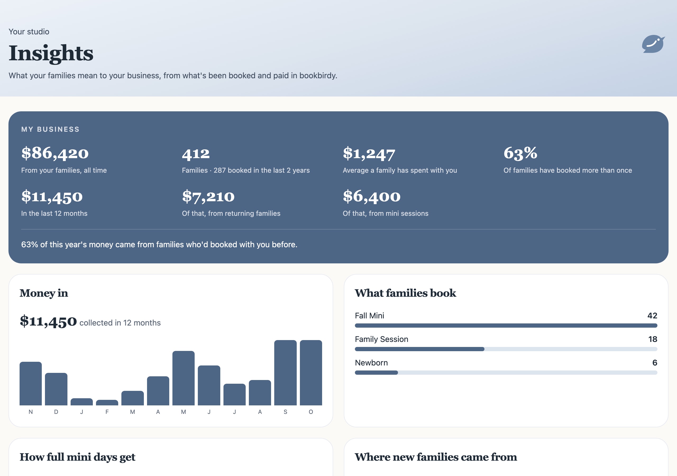 Insights with money collected by month, returning families, session types and mini day fill rates